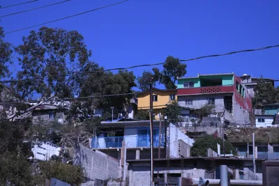 DSC_1096 (Large).JPG